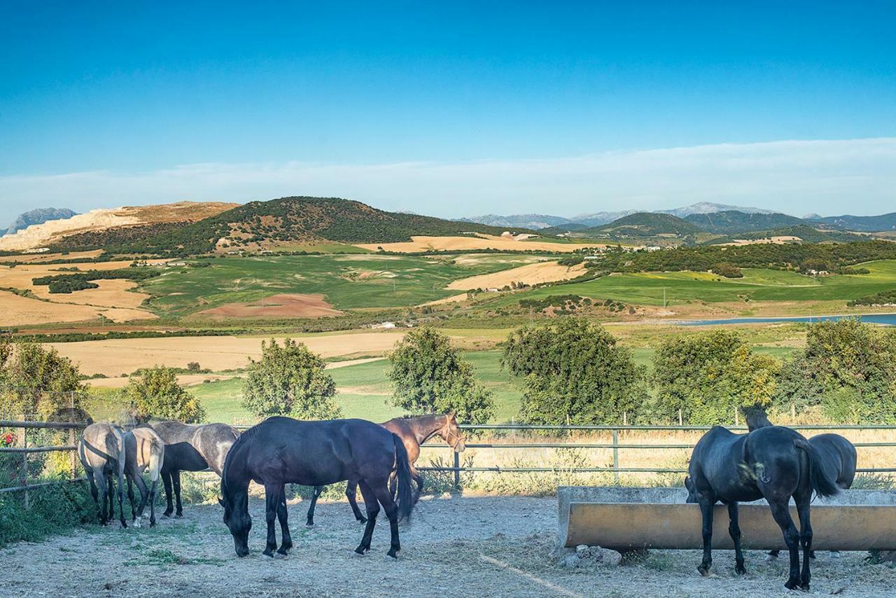 Alterhome Private Villa Cortijo Sierra Y Lago Arcos de la Frontera Extérieur photo