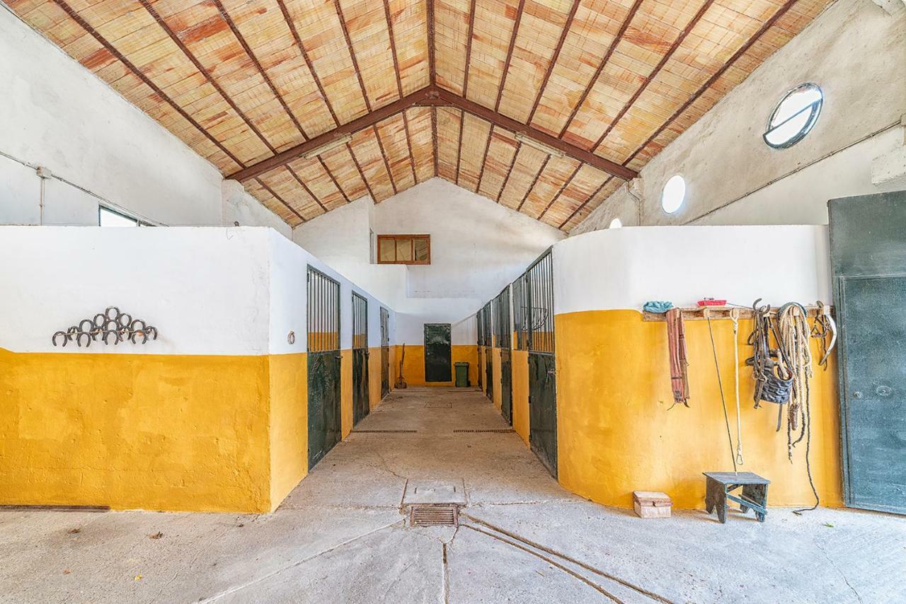 Alterhome Private Villa Cortijo Sierra Y Lago Arcos de la Frontera Extérieur photo